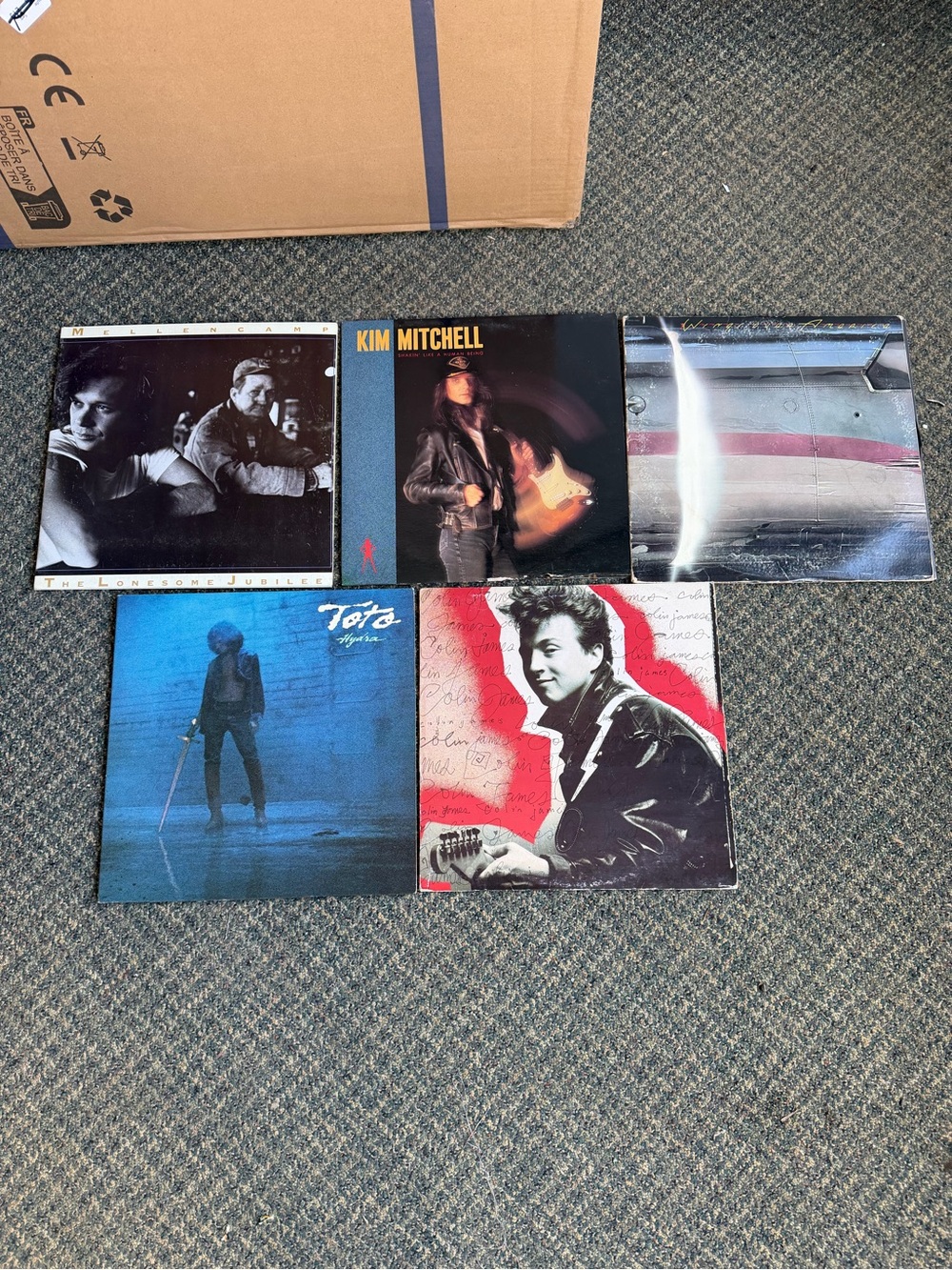 Vintage Vinyl Records
